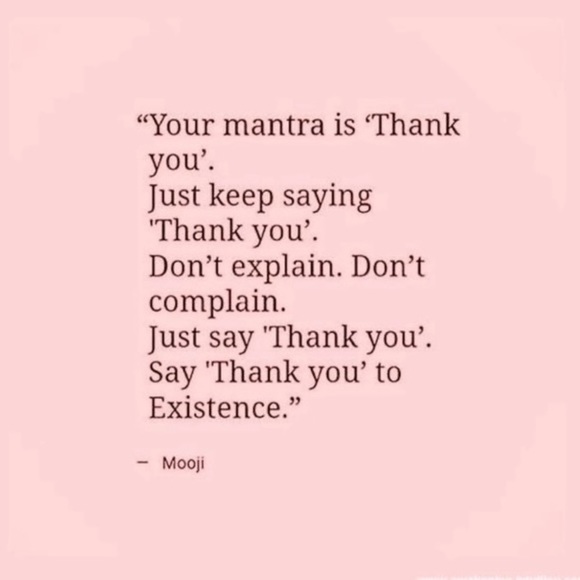 Welcome to My Closet - Picture 7 of 16